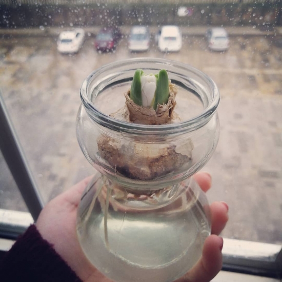   Laura Cortés - Teacher.